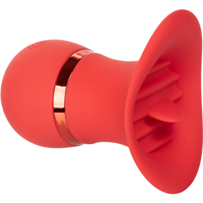 CEN-SE-0608-10-3_IMG_0.png