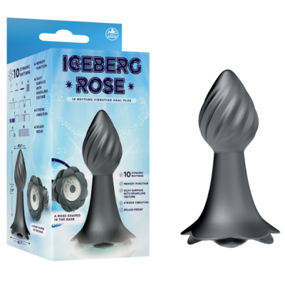 10 Rhythms Vibrating Anal Plug (Grey)