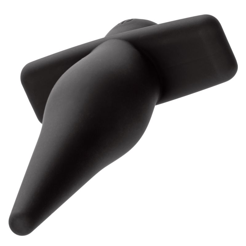 Rechargeable High Intensity Probe (Black)