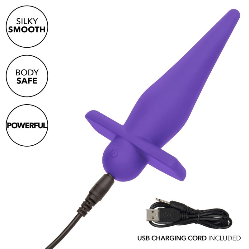 Rechargeable High Intensity Probe (Purple)