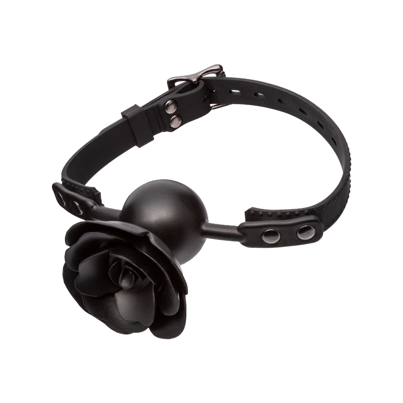 Forbidden Removable Rose Gag (Black)
