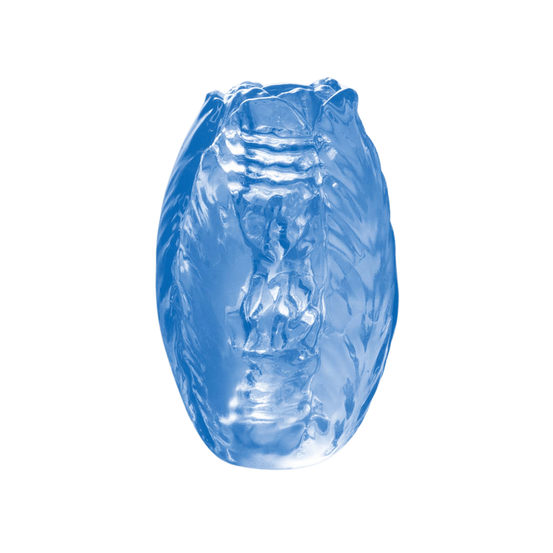 Pocket Jelly Masturbator 3.2