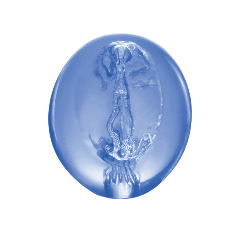 Pocket Jelly Masturbator 3.5