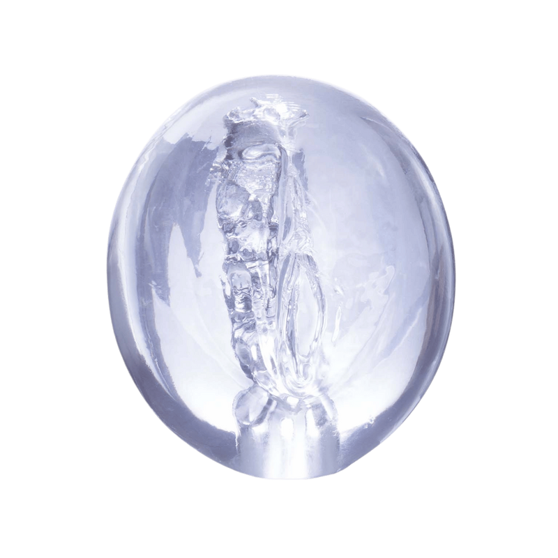 Pocket Jelly Masturbator 3.5