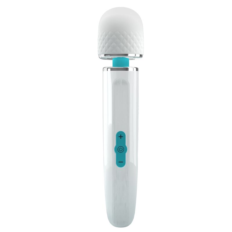 Charming Massage Wand 9.4