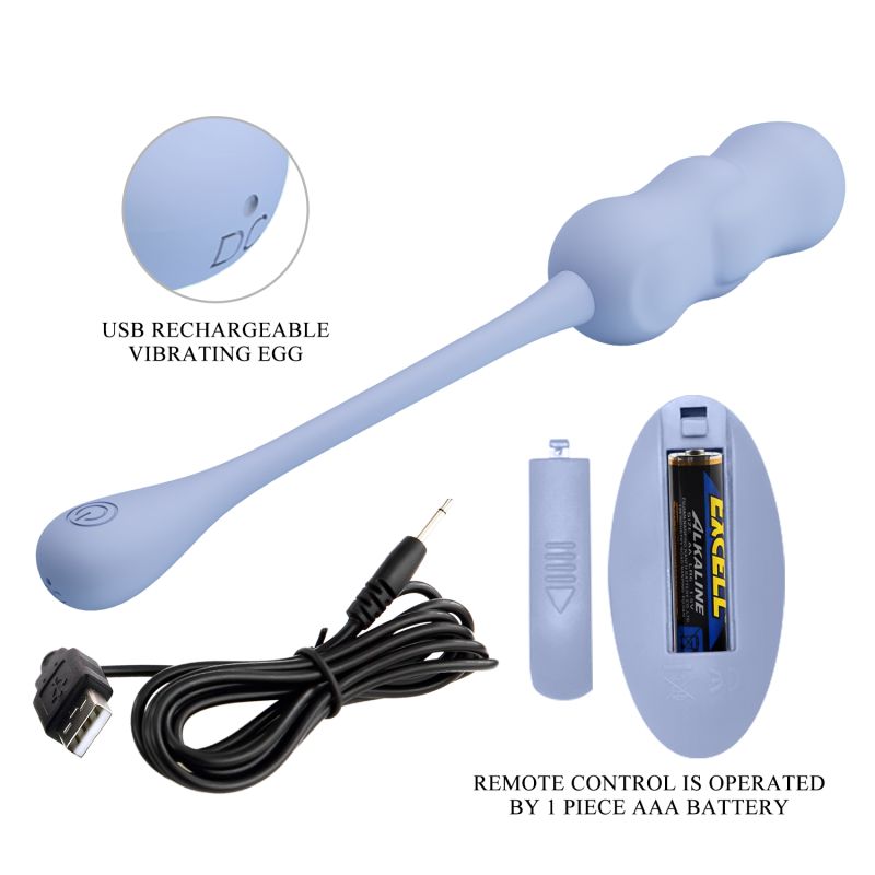 Leshy Vibrating Remote Egg (Blue)