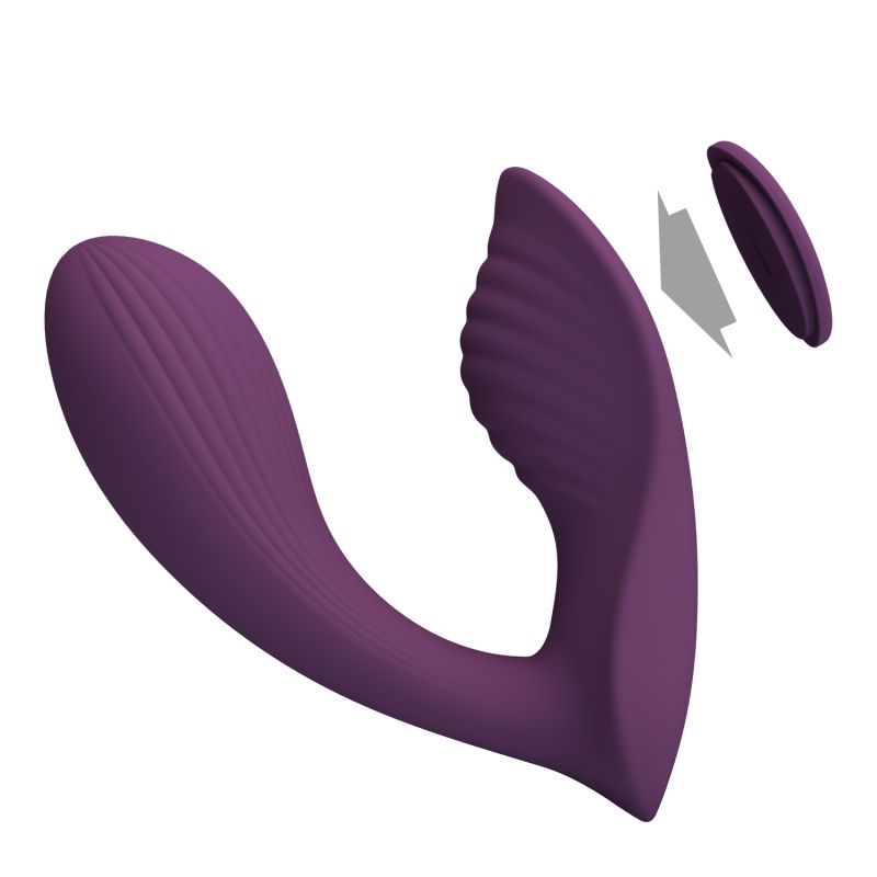 Franz Vibrator