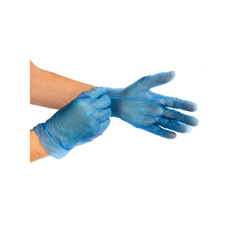 Disposable Vinyl Gloves X 100 - X-Large