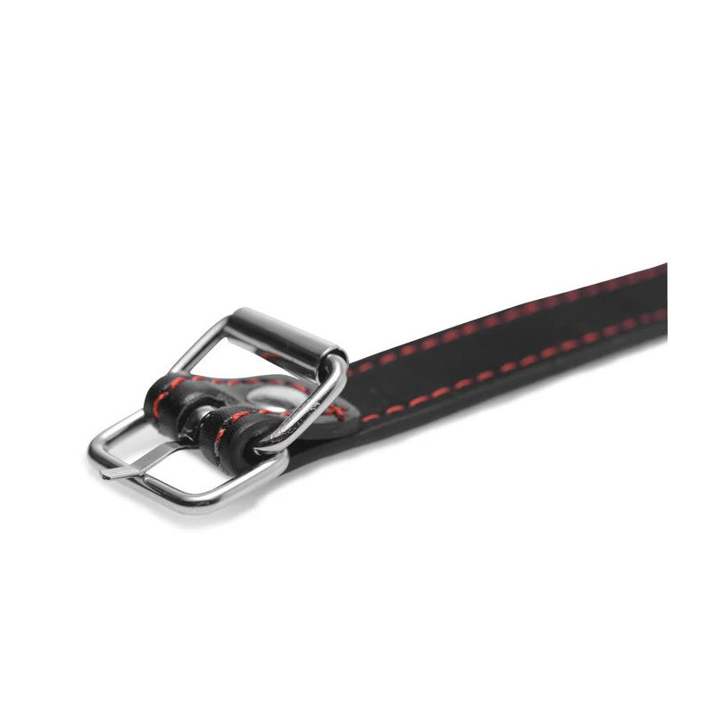 Hound Adjustable Dog Bone Gag