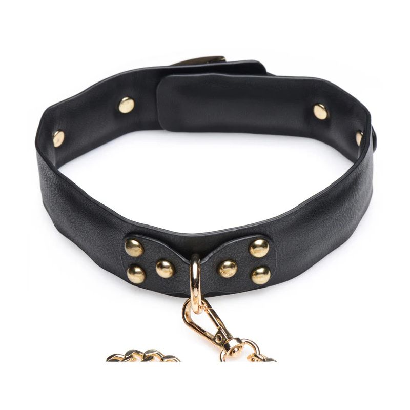Gold Submission Bondage Kit
