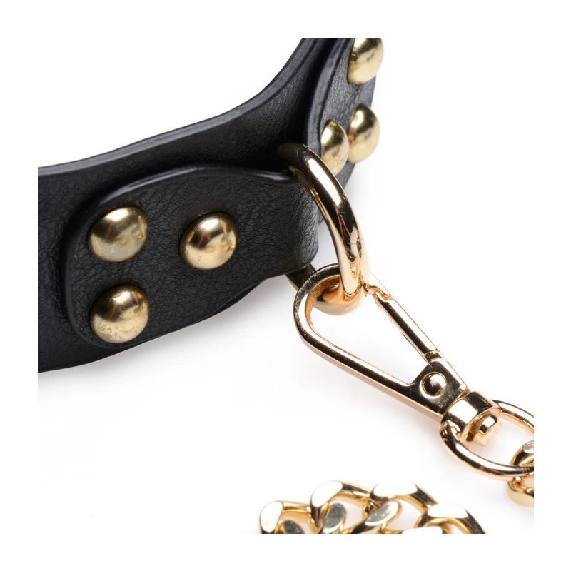 Gold Submission Bondage Kit